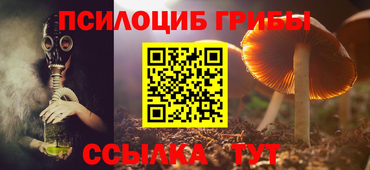 Псилоцибиновые грибы ЛСД  Вход с VPN  где можно купить наркотик  Галлюциногенные грибы Magic Shrooms  Егорьевск 